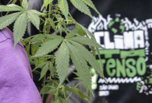 Prisão preventiva por drogas supera outros crimes, aponta pesquisa