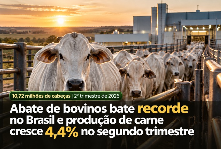 Produção de carne bovina sobe 4,4% e Brasil atinge marca histórica de abates no segundo trimestre