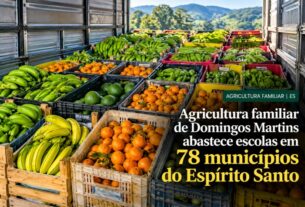 Produção de Domingos Martins leva agricultura familiar a escolas de 78 cidades e gera lucro nacional