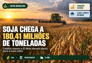 Produção de soja atinge 180,41 milhões de toneladas, mas desafios climáticos e de crédito preocupam