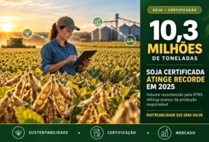 Produção de soja certificada pela RTRS salta 42% e alcança marca histórica de 10,3 milhões de toneladas