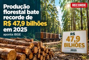 Produção florestal brasileira atinge recorde de R$ 47,9 bilhões em 2025