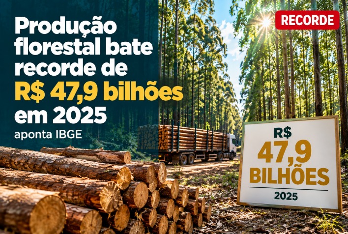 Produção florestal brasileira atinge recorde de R$ 47,9 bilhões em 2025