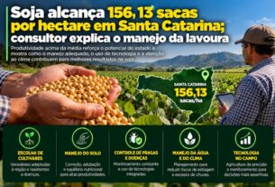 Produtividade recorde de soja em Santa Catarina destaca manejo inovador