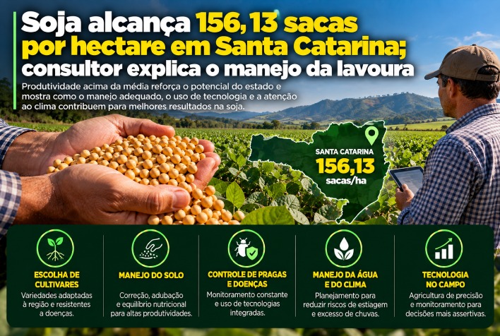 Produtividade recorde de soja em Santa Catarina destaca manejo inovador