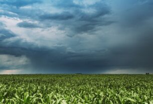 Produtores rurais devem blindar o caixa e investir em seguro para enfrentar o El Niño na safra 2026/27