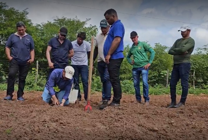 Projeto Caju impulsiona agricultura familiar com distribuição de 10 mil mudas no Ceará
