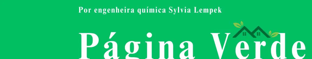 Projeto Panapaná é destaque no Troféu Página Verde por unir esporte e ecologia