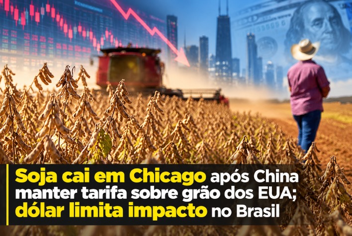 Queda da soja em Chicago: impacto das tarifas chinesas e influência do dólar no Brasil