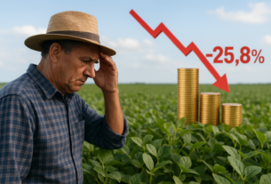 Queda de 25,8% no crédito rural ameaça safra 2026/27 e preços dos alimentos