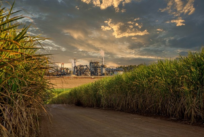Queda na safra de açúcar do Centro-sul para 38,9 milhões de toneladas amplia déficit global