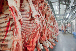 Queda nas exportações de carne bovina em agosto revela desafios e oportunidades no mercado
