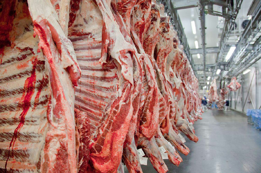 Queda nas exportações de carne bovina em agosto revela desafios e oportunidades no mercado