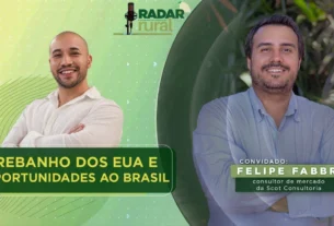 Queda no rebanho dos EUA abre janela de exportação para a carne brasileira