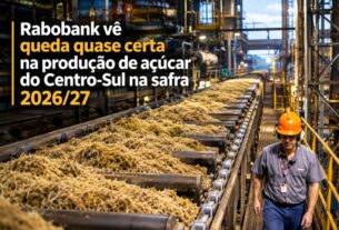 Rabobank projeta recuo na produção de açúcar do Centro-sul para a safra 2026/27