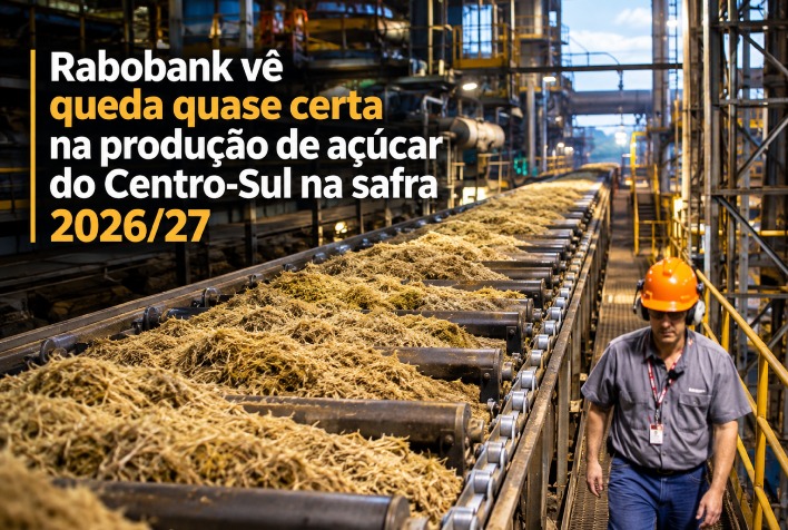 Rabobank projeta recuo na produção de açúcar do Centro-sul para a safra 2026/27
