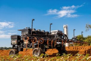 Rastreabilidade do algodão ganha eficiência e segurança com novo certificado digital automatizado