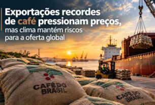 Recorde nas exportações de café pressiona preços enquanto clima gera incertezas