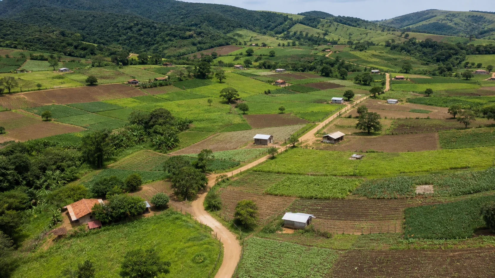 Reforma agrária em Minas Gerais é pauta de encontro entre MST e Ministério