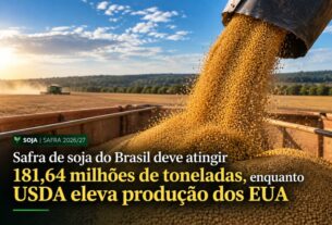 Safra brasileira de soja deve atingir 181,64 milhões de toneladas na temporada 2026/27