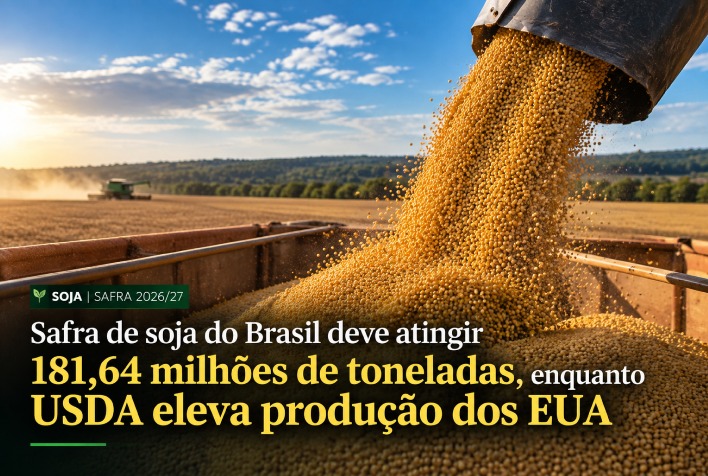 Safra brasileira de soja deve atingir 181,64 milhões de toneladas na temporada 2026/27