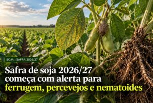 Safra de soja 2026/27 exige atenção redobrada contra pragas e doenças desde o plantio