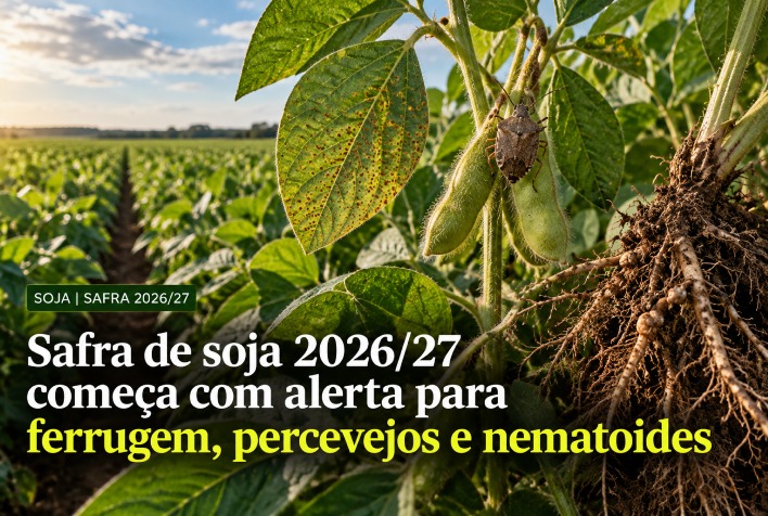 Safra de soja 2026/27 exige atenção redobrada contra pragas e doenças desde o plantio