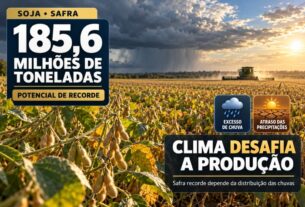Safra de soja projeta recorde de 185,6 milhões de toneladas sob incerteza climática