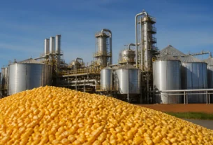 Senado americano aprova avanço de projeto que reformula políticas agrícolas e de nutrição