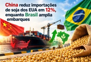 Soja brasileira amplia domínio no mercado chinês enquanto importações dos EUA recuam