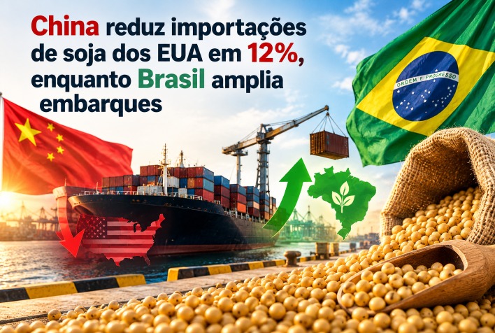 Soja brasileira amplia domínio no mercado chinês enquanto importações dos EUA recuam