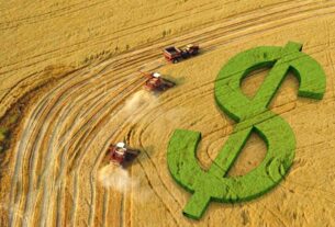Soja em alta no Brasil impulsionada por escassez de oferta e mercado externo