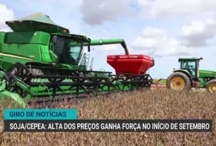 Soja ganha força no mercado brasileiro com valorização de preços em setembro