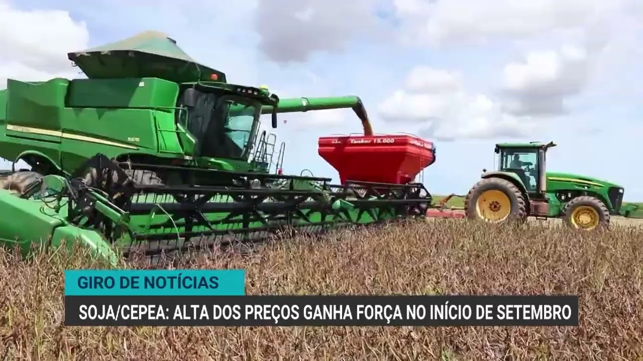 Soja ganha força no mercado brasileiro com valorização de preços em setembro