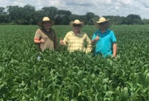Sojicultor supera adversidades e cultiva esperança no campo com fé