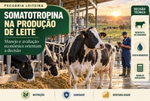 Somatotropina na produção de leite exige planejamento estratégico e análise de custos