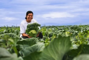 Sorriso investe R$ 324,8 mil em alimentos da agricultura familiar para atender vulneráveis