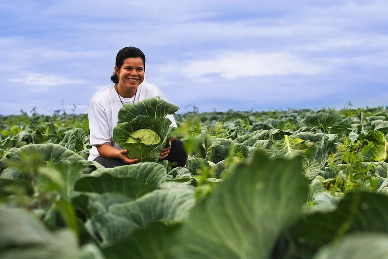 Sorriso investe R$ 324,8 mil em alimentos da agricultura familiar para atender vulneráveis