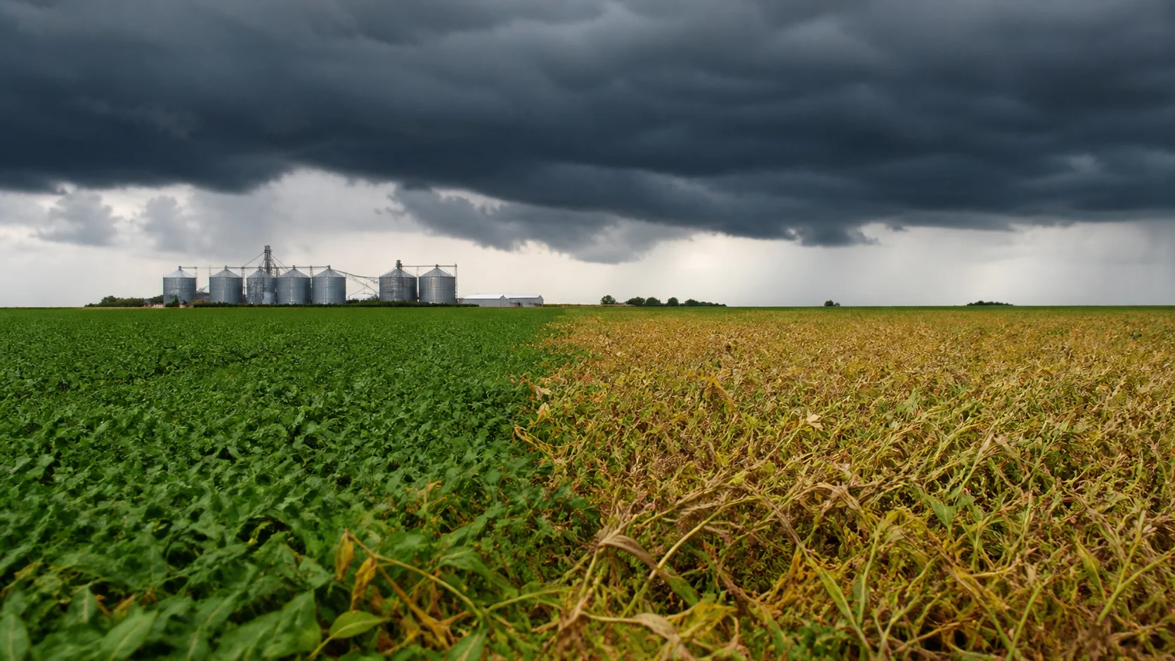 Super El Niño traz ameaça desigual para a safra brasileira de 2026/27