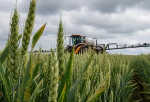 Syngenta e Amoéba firmam parceria estratégica para biofungicida na Europa
