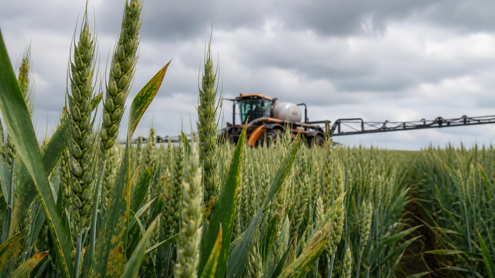 Syngenta e Amoéba firmam parceria estratégica para biofungicida na Europa