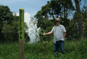 Tecnologia de monitoramento florestal garante faturamento milionário em Minas Gerais