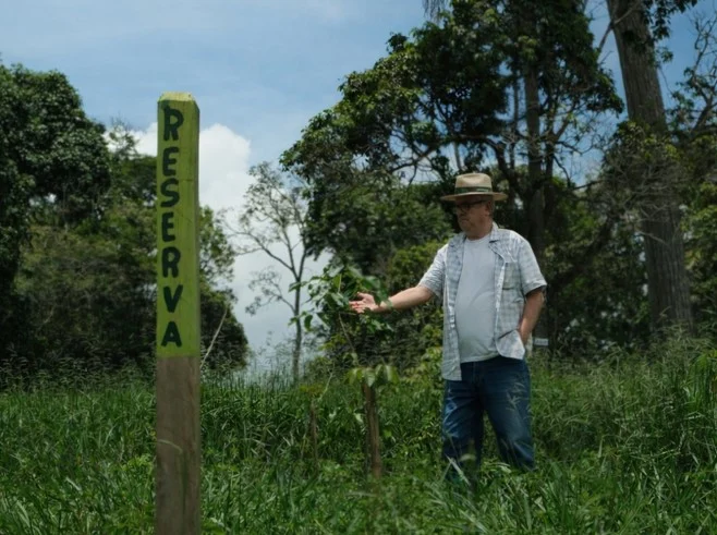 Tecnologia de monitoramento florestal garante faturamento milionário em Minas Gerais