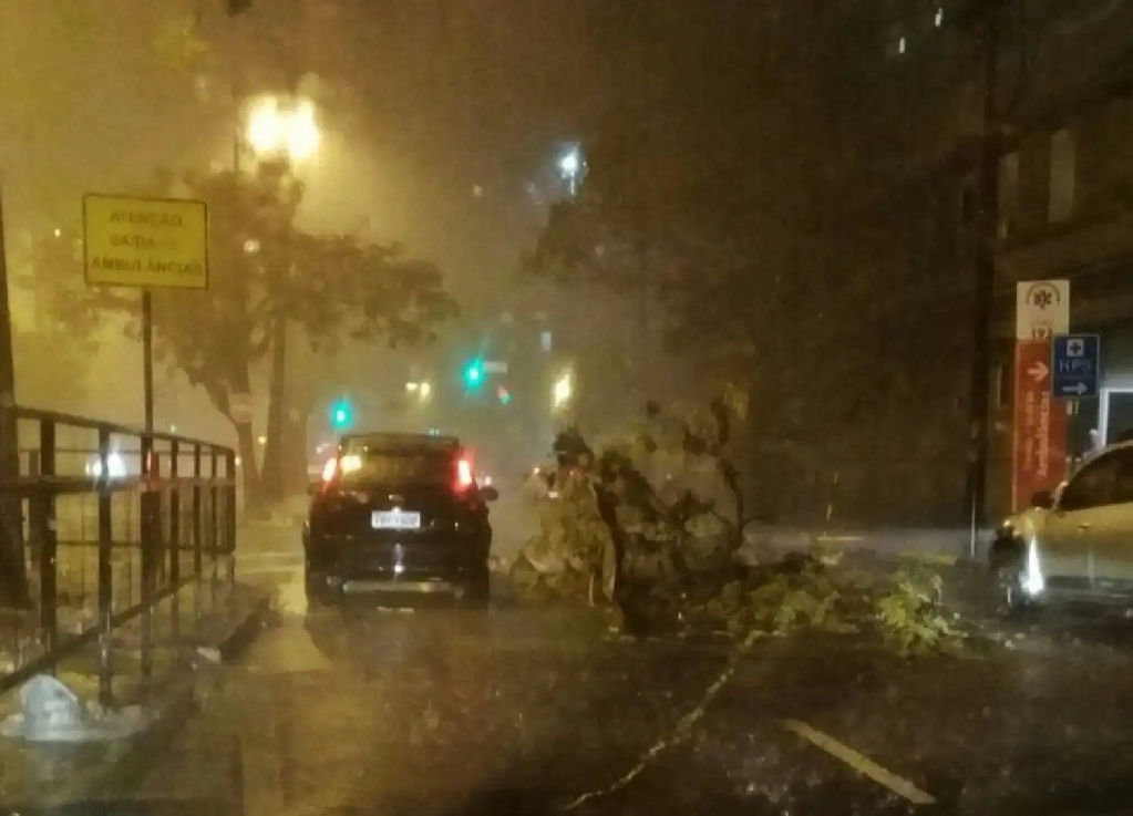 Temporais com ventania causam estragos e afetam serviços públicos em Porto Alegre