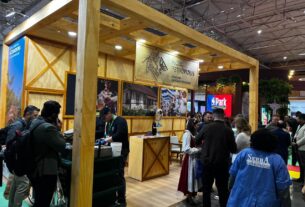 Turismo que gera movimento: Nova Petrópolis transforma recursos em investimentos e negócios para fortalecer o destino