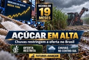 Açúcar atinge maior patamar em 19 meses com colheita prejudicada no Brasil