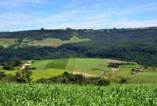 Agricultores e pescadores de SC podem inscrever projetos para acessar R$ 21,9 milhões do SC Rural 2