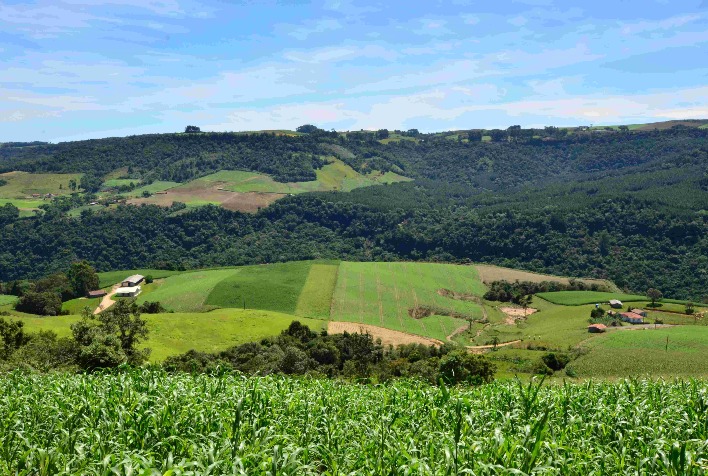 Agricultores e pescadores de SC podem inscrever projetos para acessar R$ 21,9 milhões do SC Rural 2