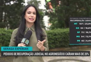 Agro brasileiro tem queda de 20 por cento em recuperações judiciais no segundo trimestre de 2026