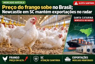 Alta do frango no Brasil reflete impacto de caso de newcastle em santa catarina e alerta externo
